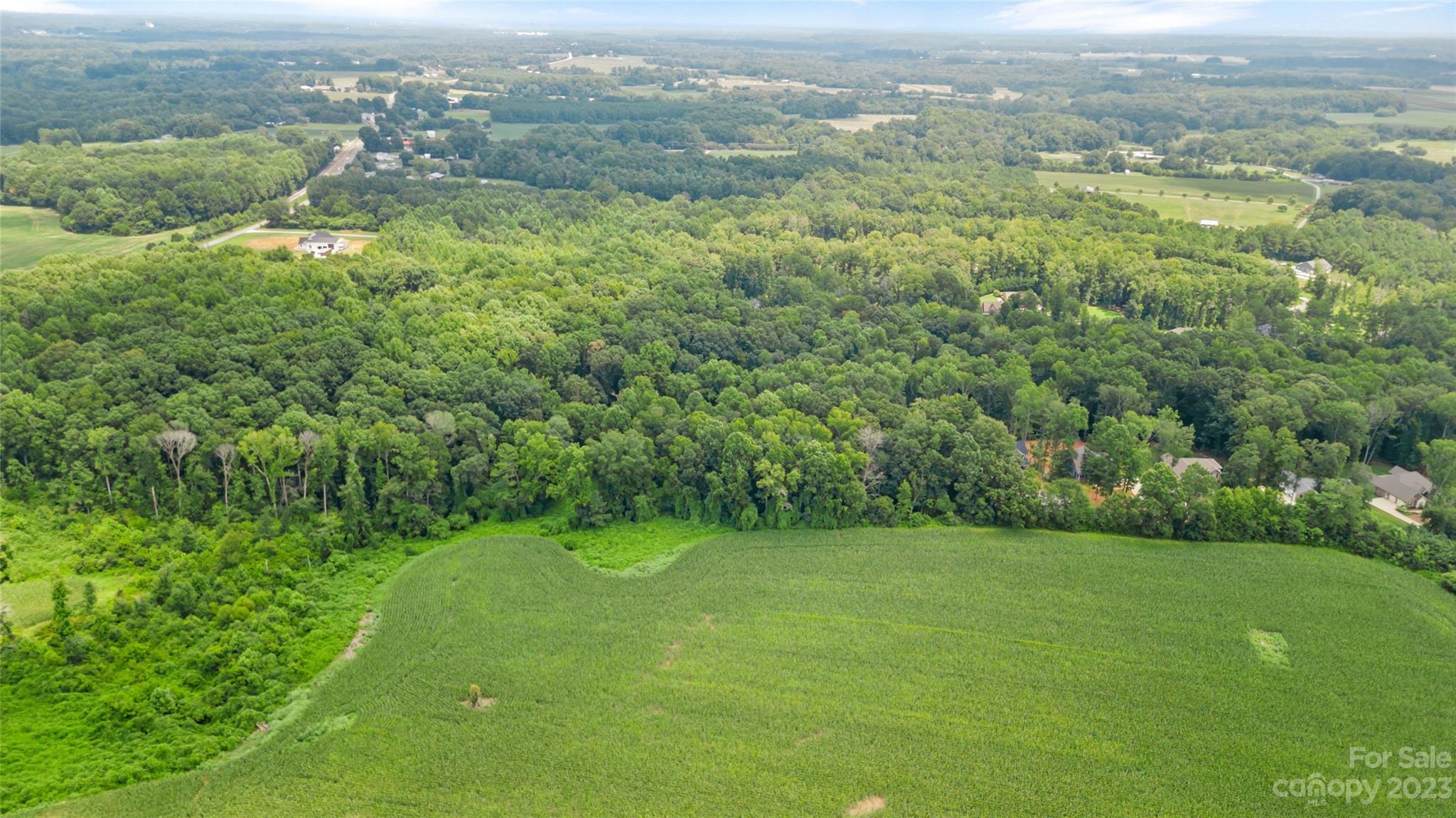 295 Torrington Drive