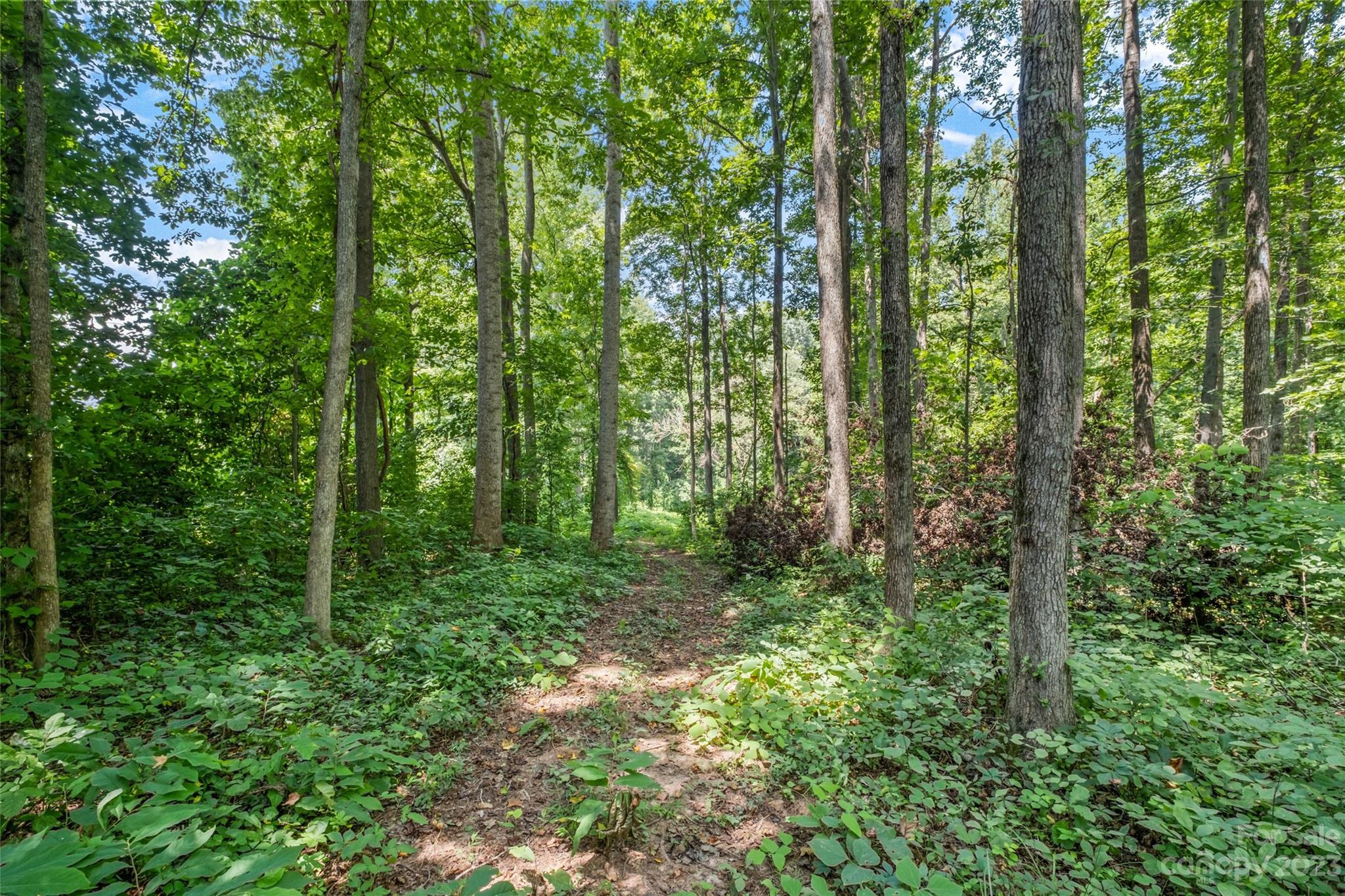 295 Torrington Drive