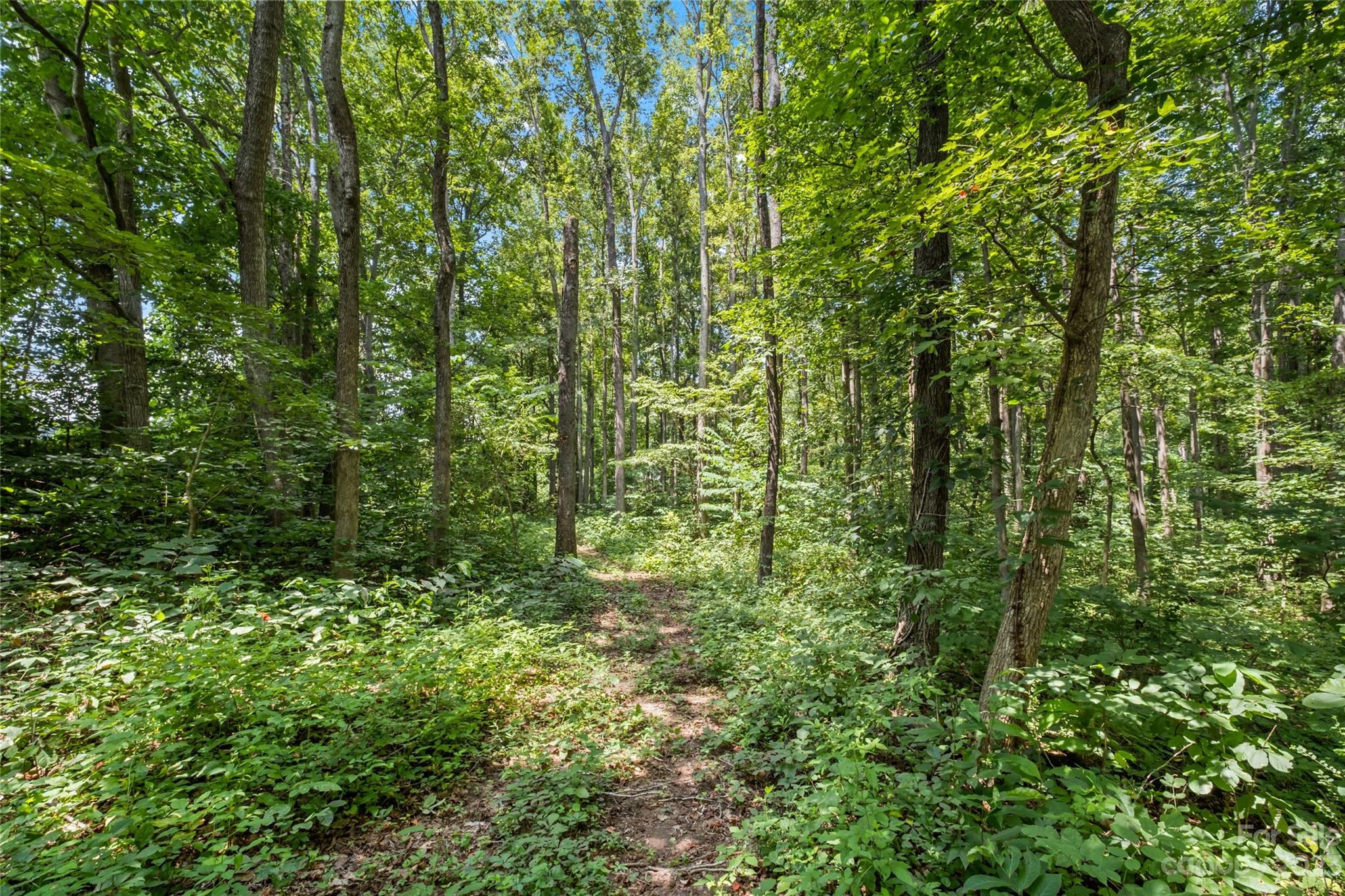 295 Torrington Drive