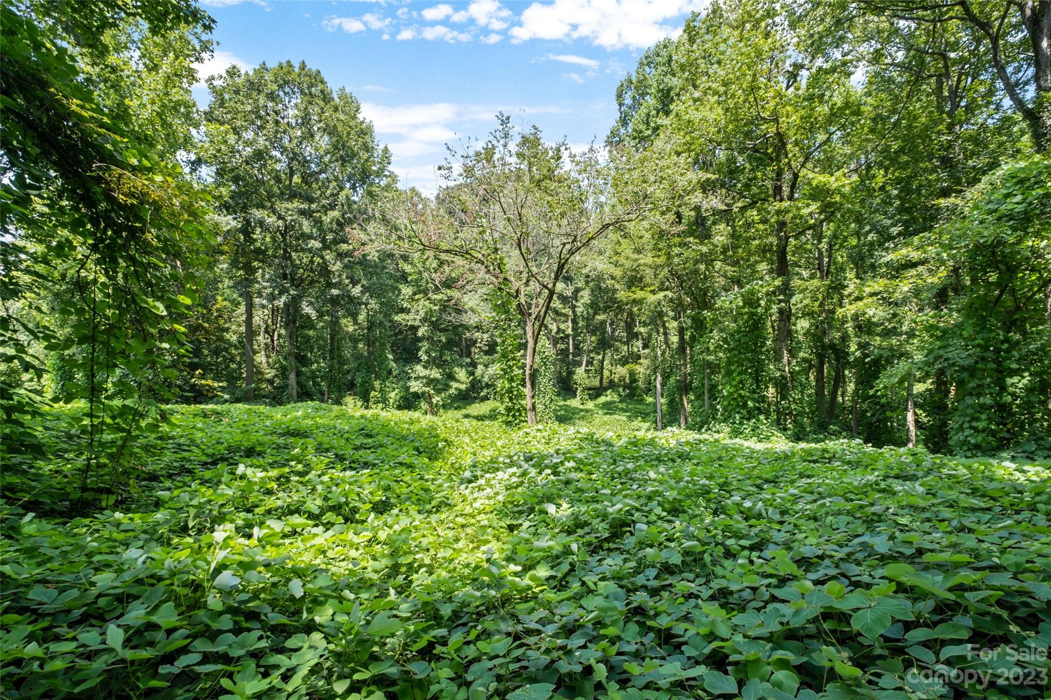 295 Torrington Drive