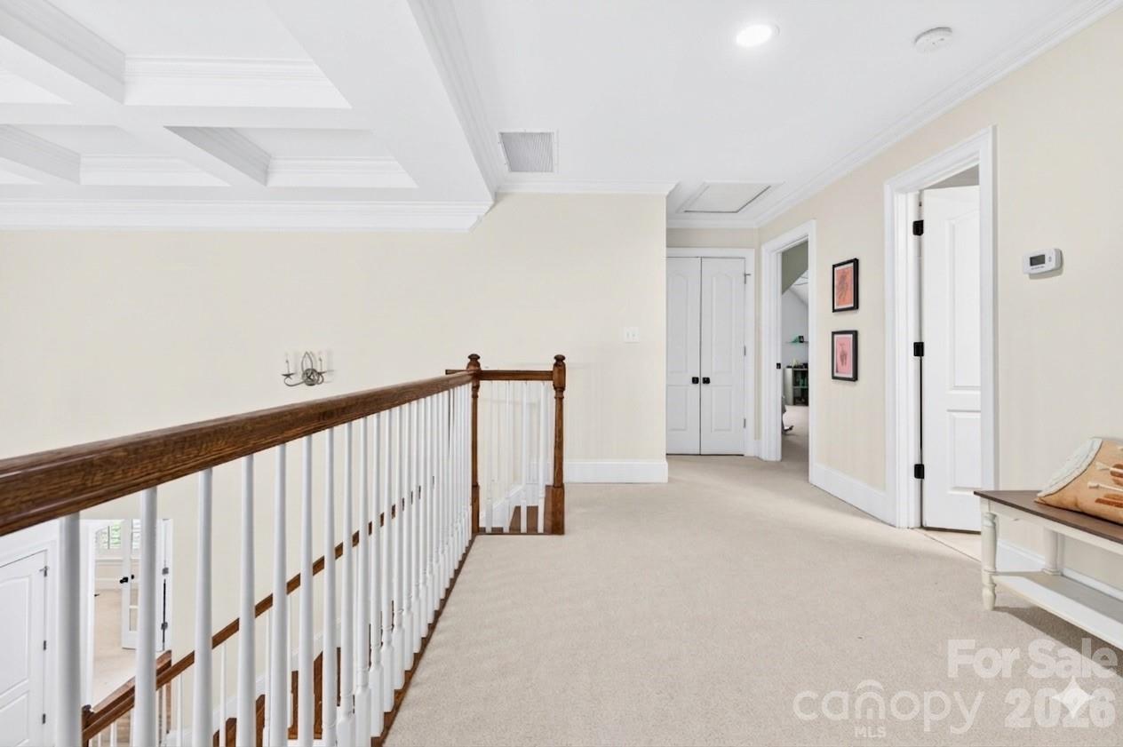 144 English Ivy Lane