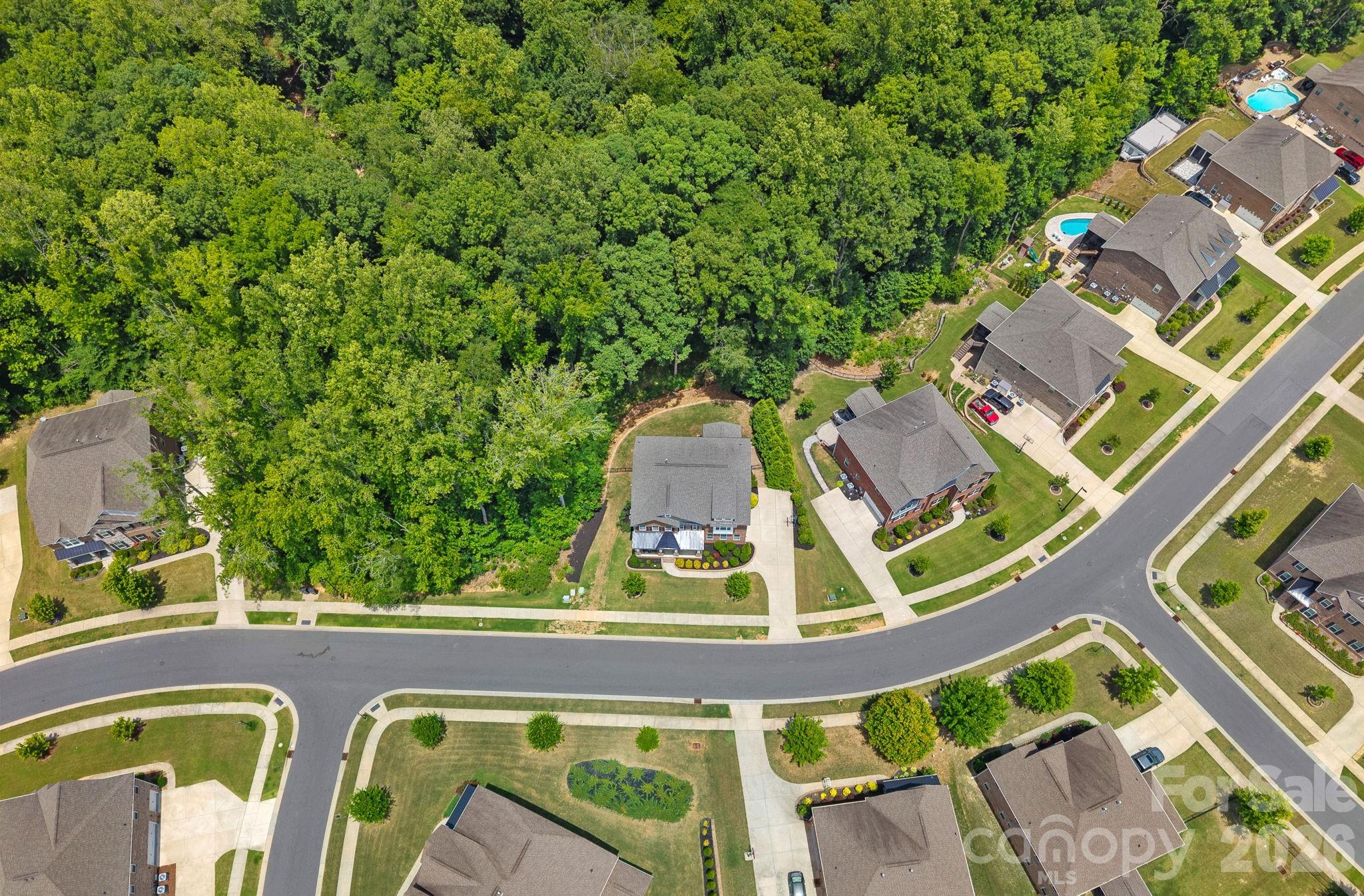 2026 Sweet William Drive
