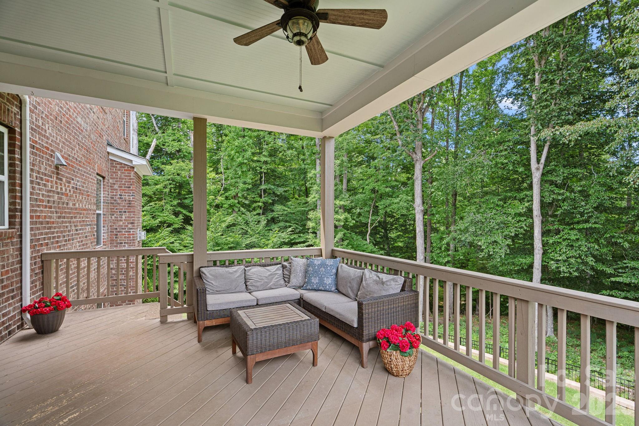 2026 Sweet William Drive