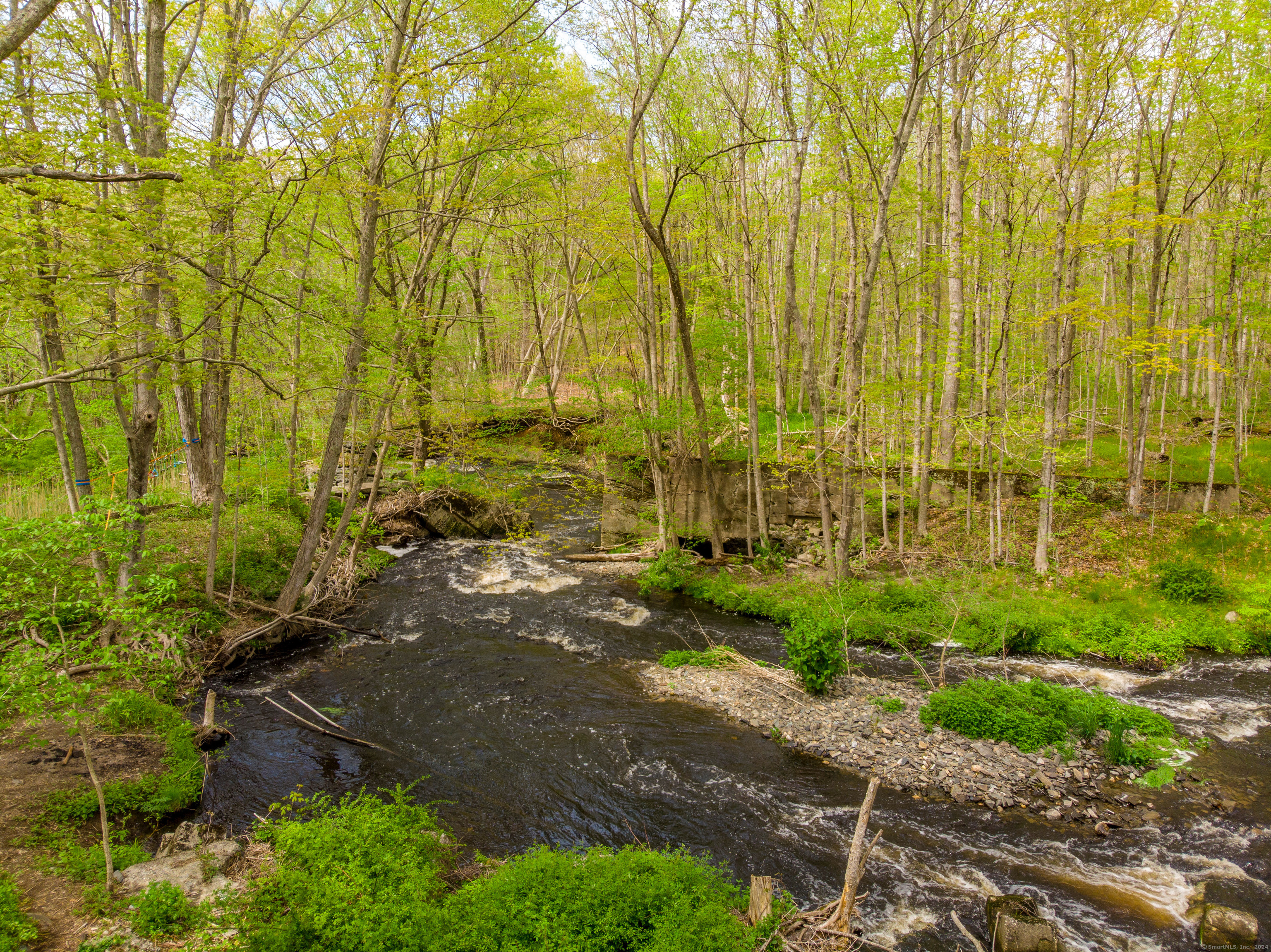A creek with small rapids flowing through a leafy, wooded property.