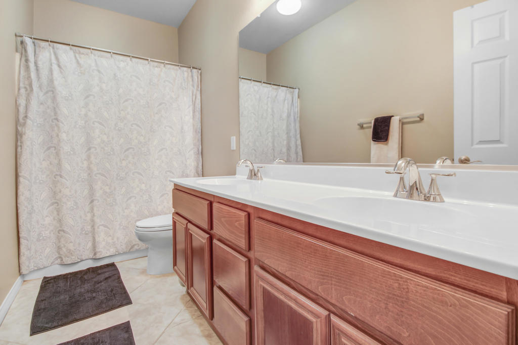 29407 Lupine Hills Drive