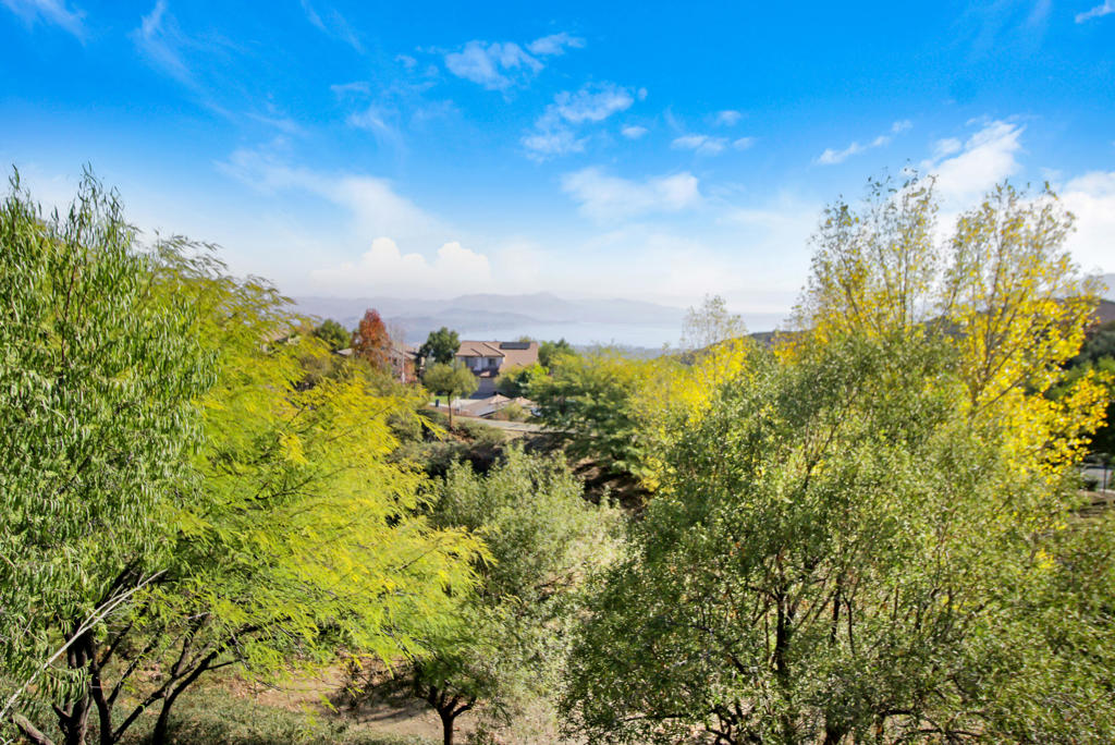 29407 Lupine Hills Drive