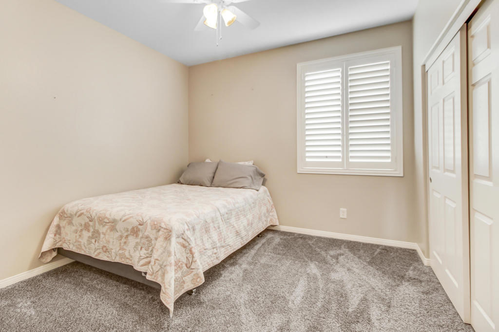 29407 Lupine Hills Drive