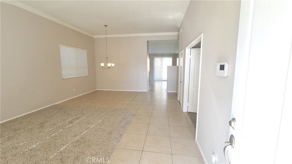 24520 Dunlavy Court