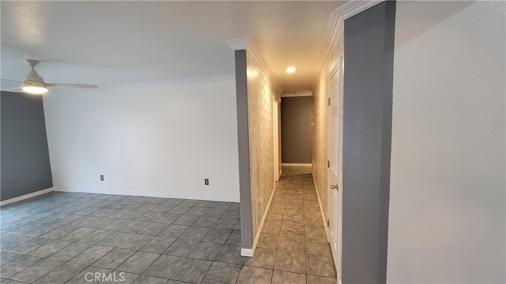 8281 Paisley Lane