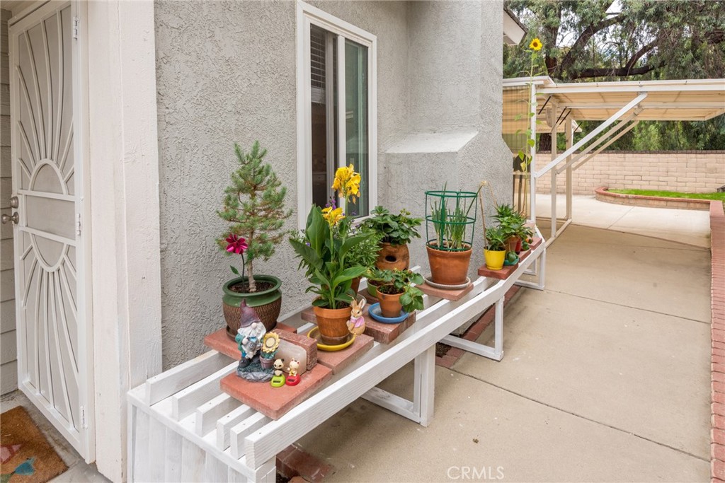 2897 Woodsorrel Drive