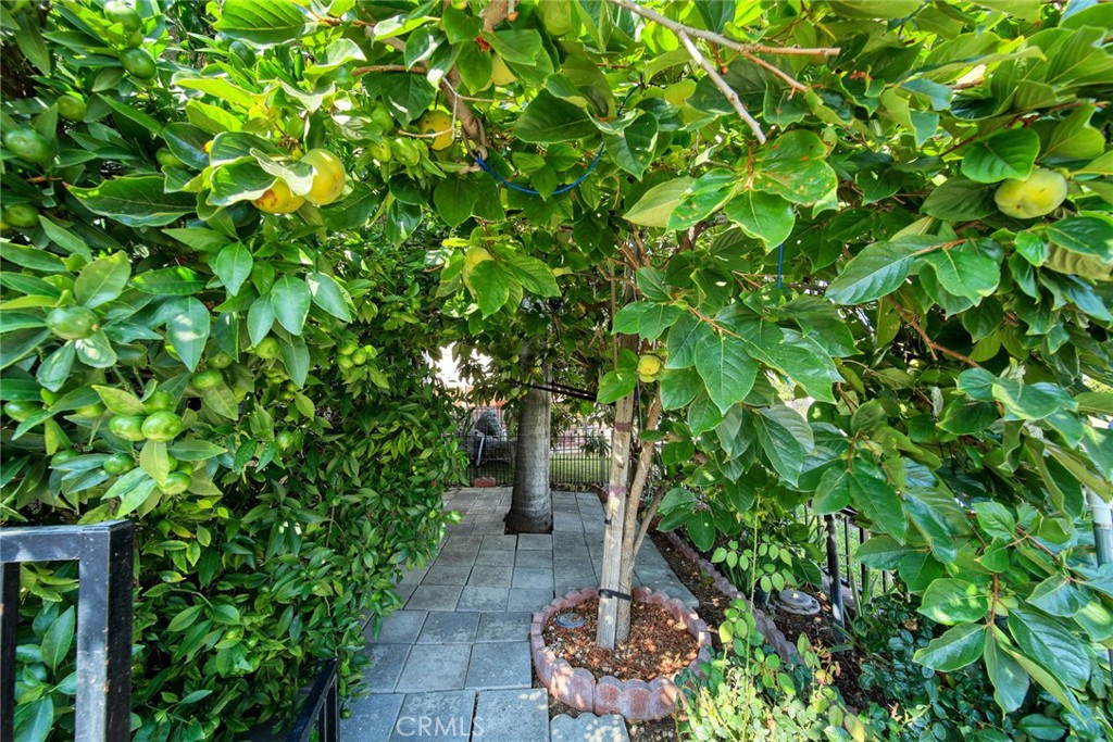 317 N Lincoln Avenue B