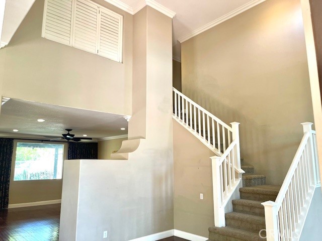 32406 Cassino Court
