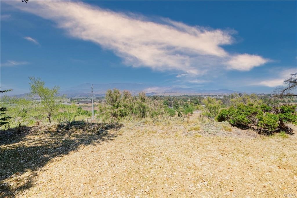 13965 Bolo Ct