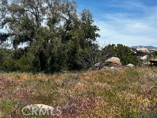 51442 Tule Peak Road