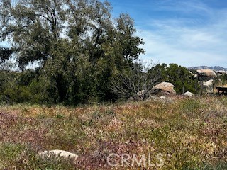 51442 Tule Peak Road