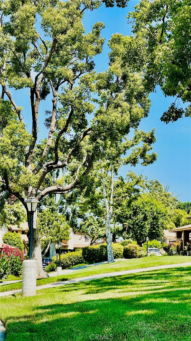 1436 Countrywood Avenue 39