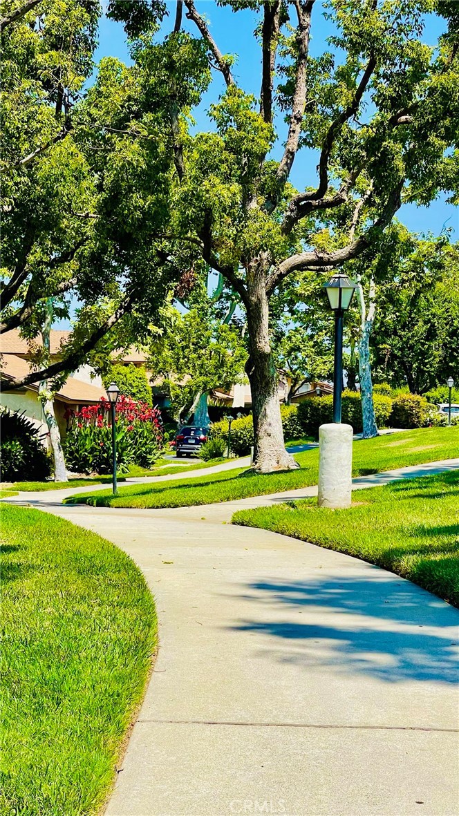 1436 Countrywood Avenue 39