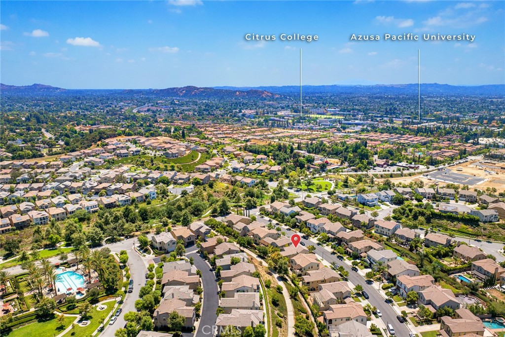 741 E Lemon Swirl Dr