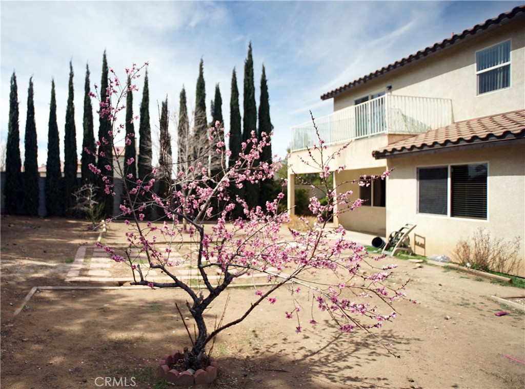 12649 Water Lily Lane
