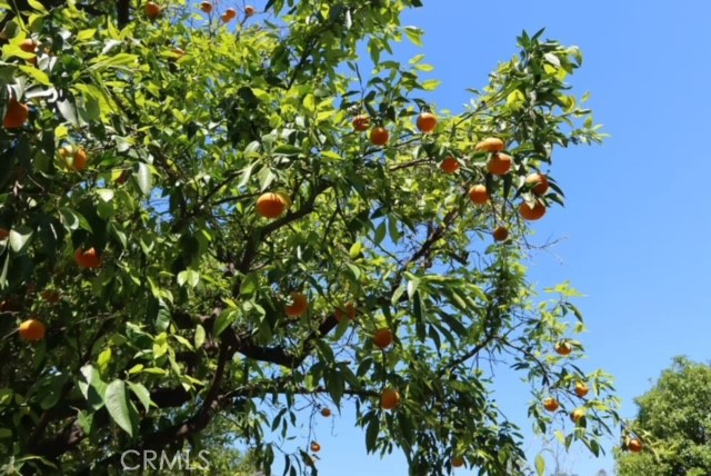 471 Woodward Boulevard