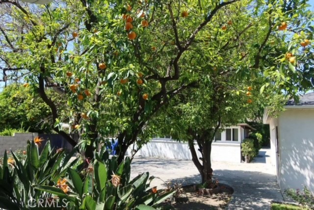 471 Woodward Boulevard