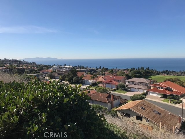 29221 Firthridge Road