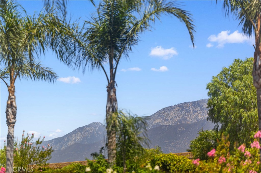 12420 Silk Oak Court