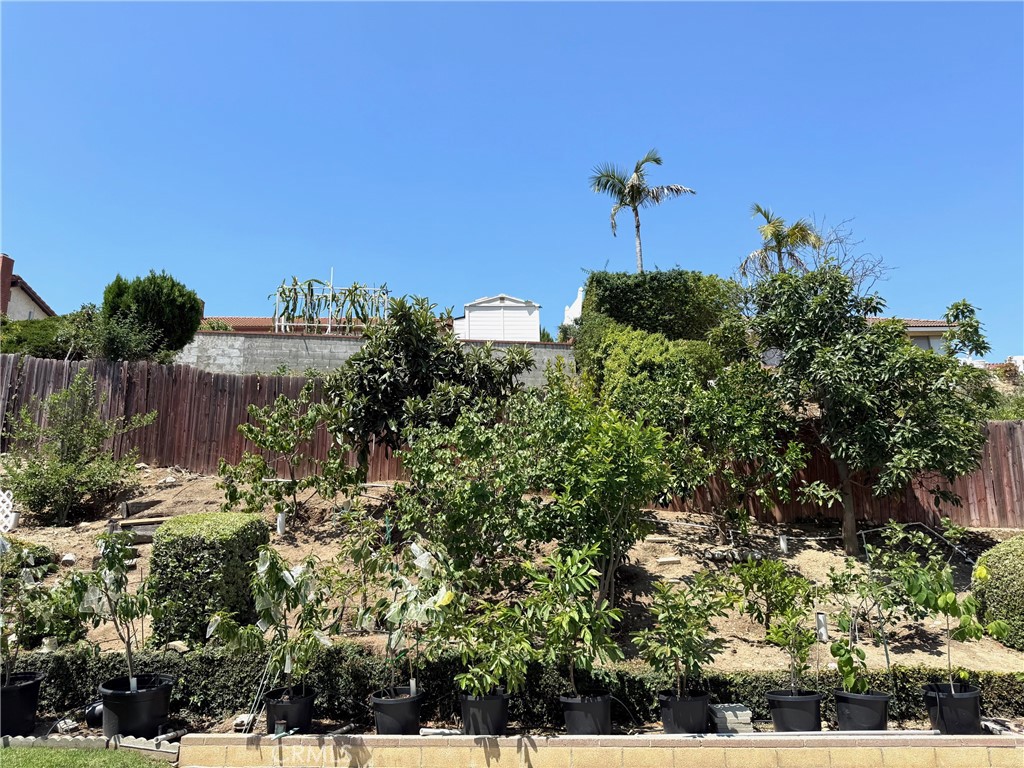 2227 Langspur Drive
