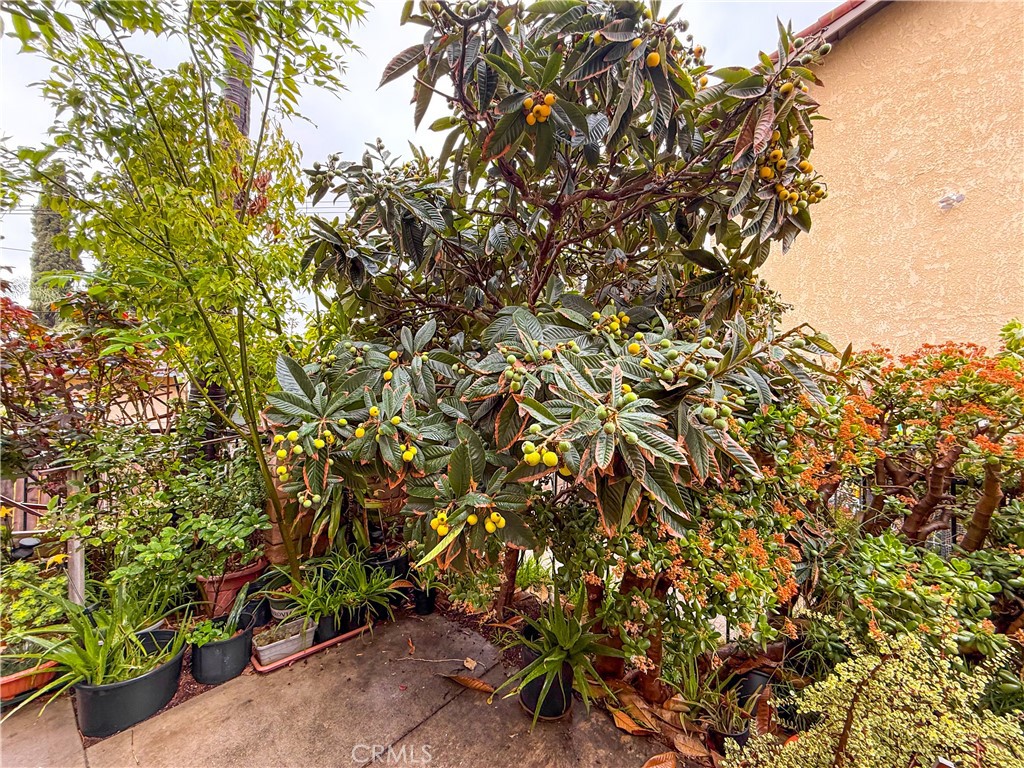 825 E Newmark Avenue A