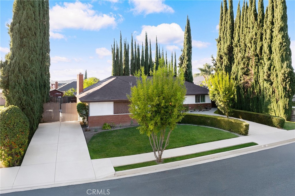 615 Greenhorn Dr.