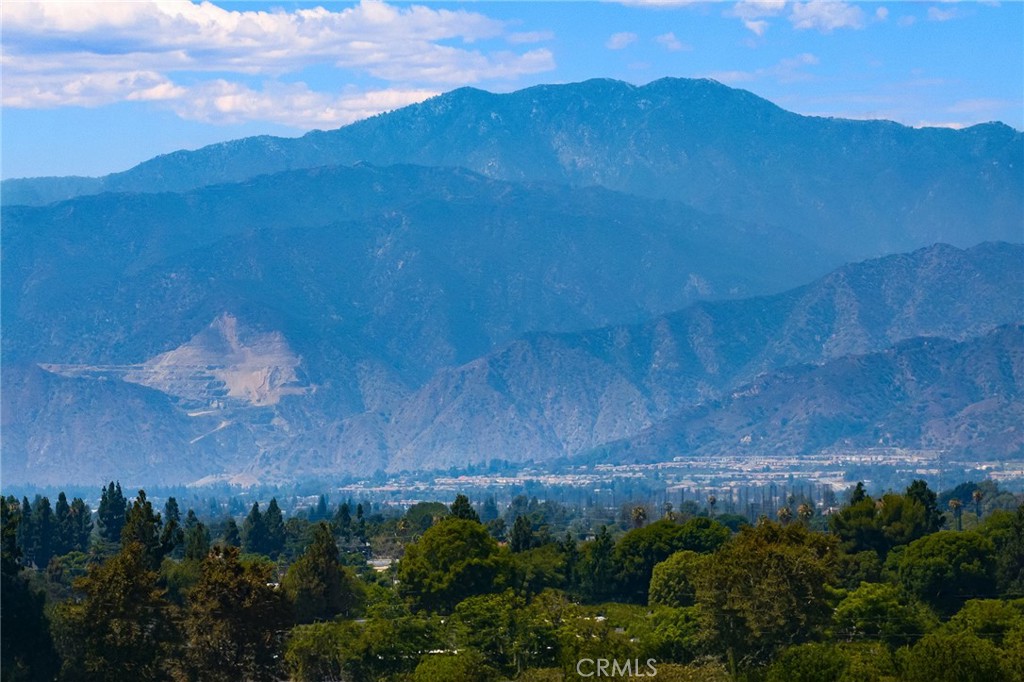 21127 E Cypress Street