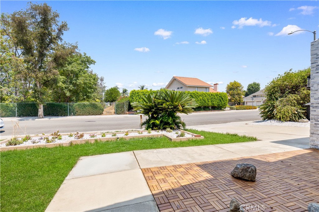 23328 Forest Canyon