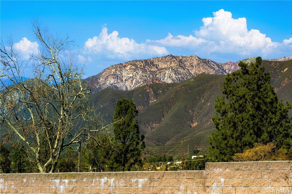 10154 Northridge