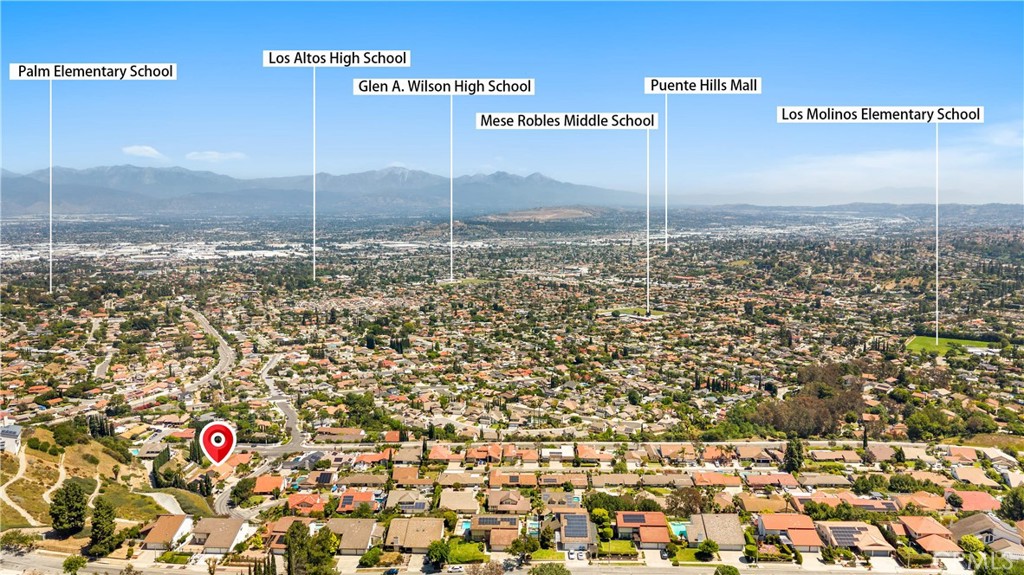 3117 Montellano Avenue