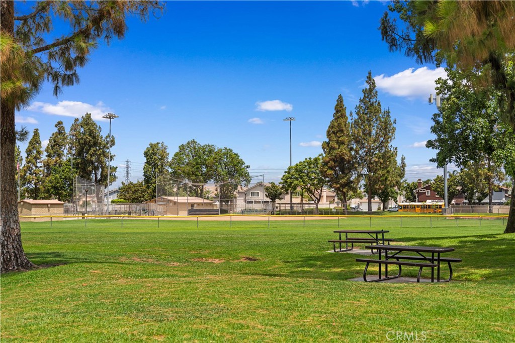 11795 Puerto Real Road