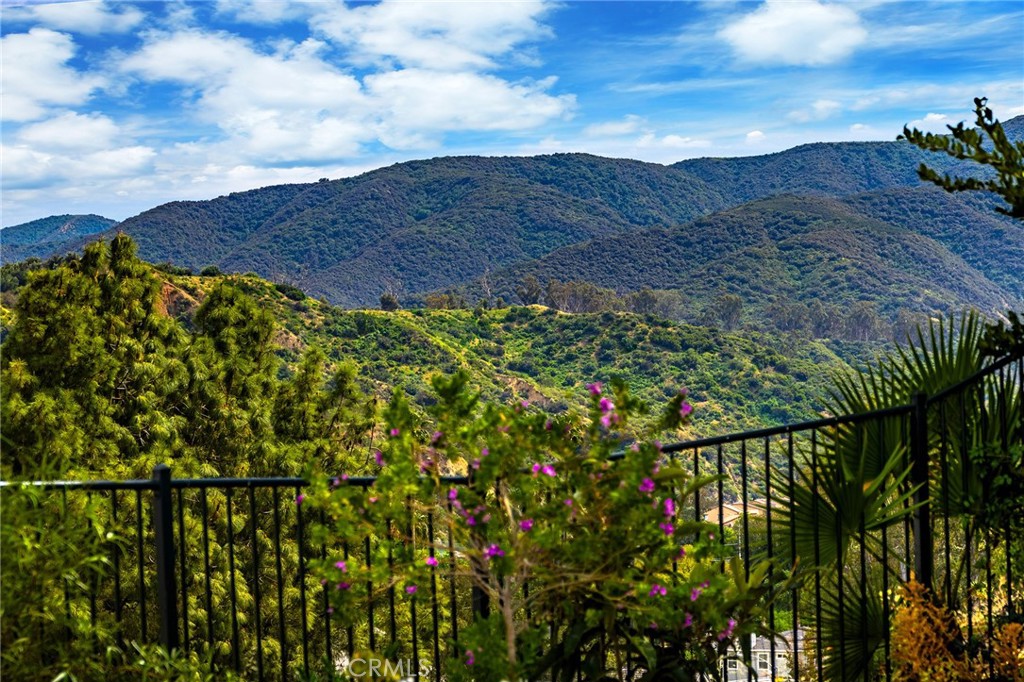 3165 Forest View