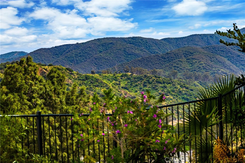3165 Forest View