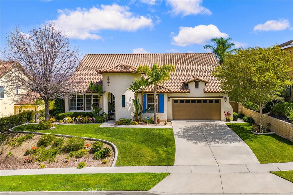 3165 Forest View