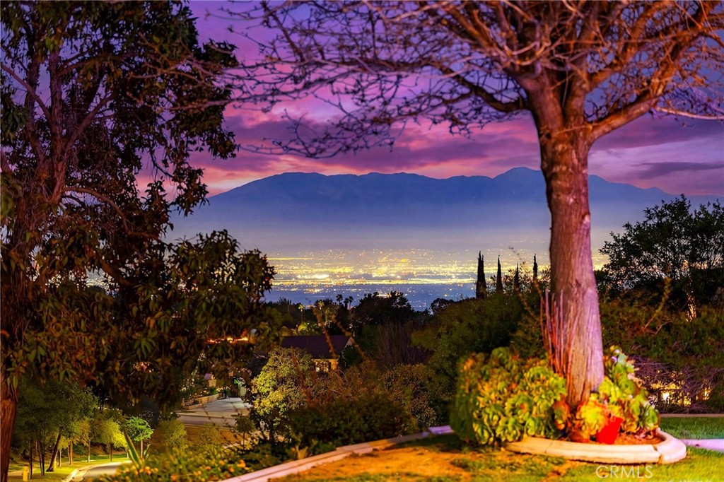 3165 Forest View