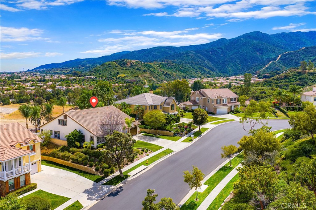 3165 Forest View