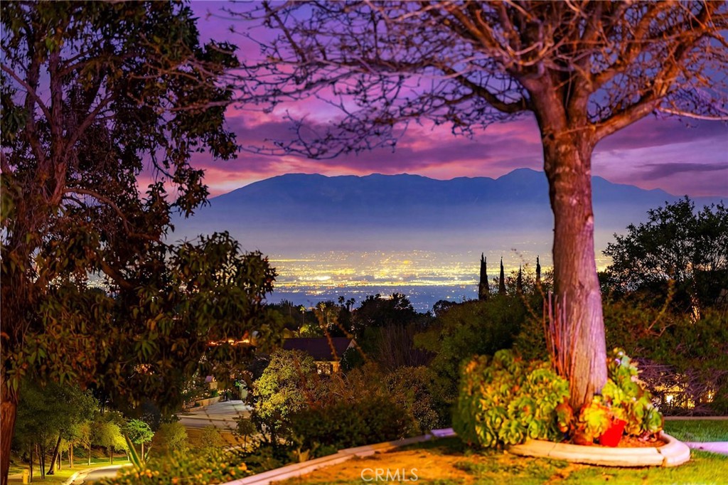 3165 Forest View