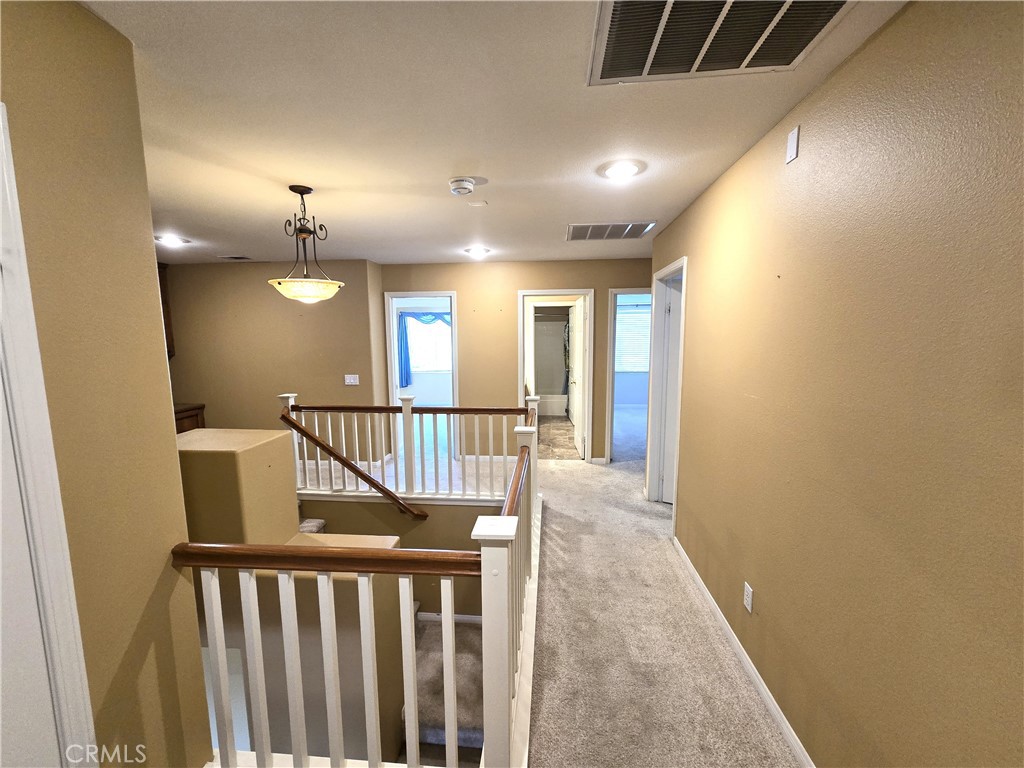 10163 Thorpe Court