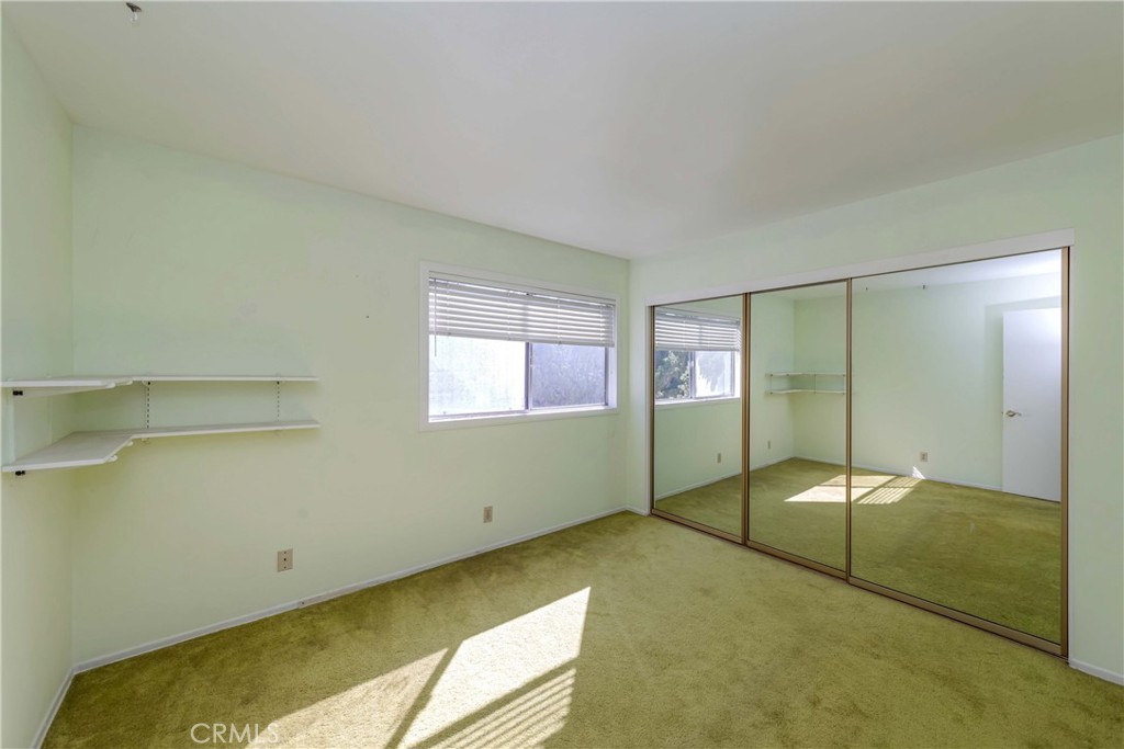 1428 Spruce Tree Drive