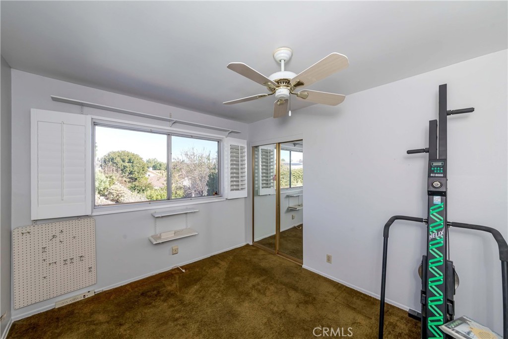 1428 Spruce Tree Drive