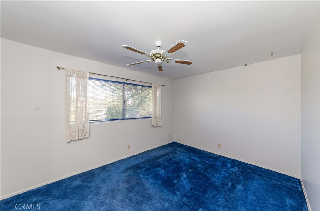 1428 Spruce Tree Drive