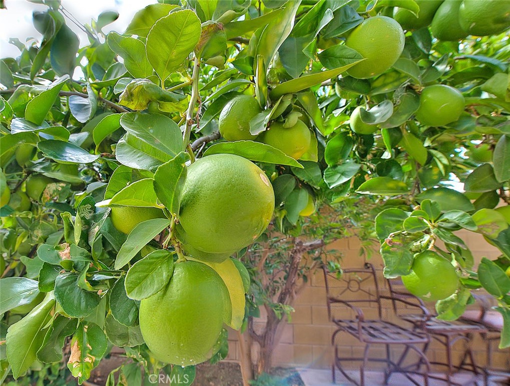 7415 Excelsior Drive