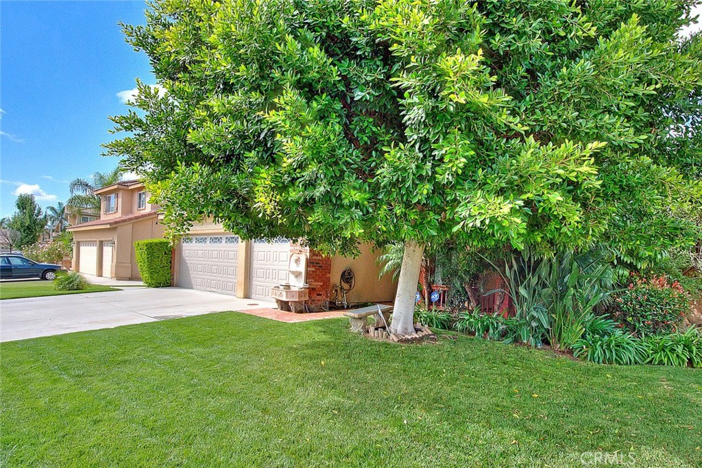 7415 Excelsior Drive