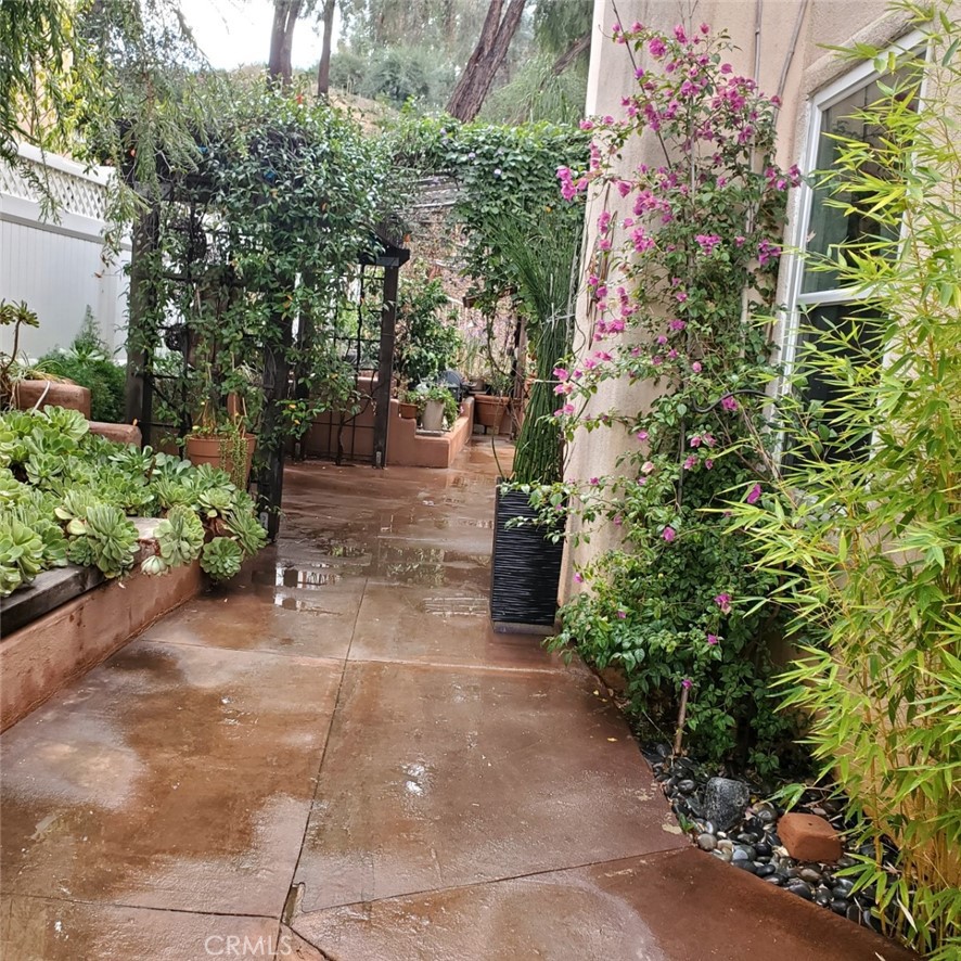 2913 Crape Myrtle Circle