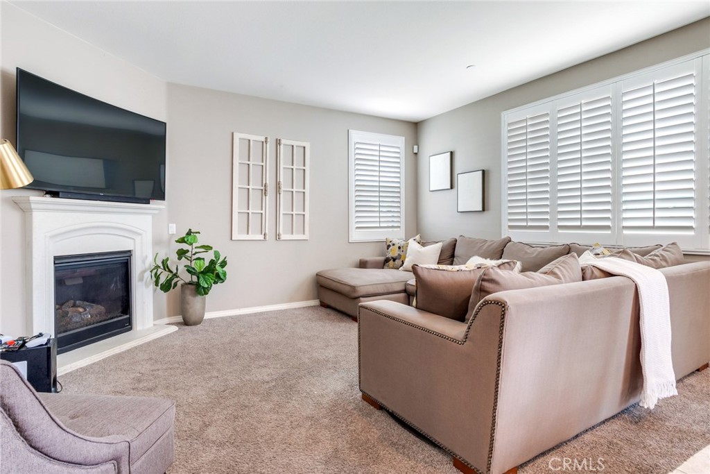 17994 Lacebark Court