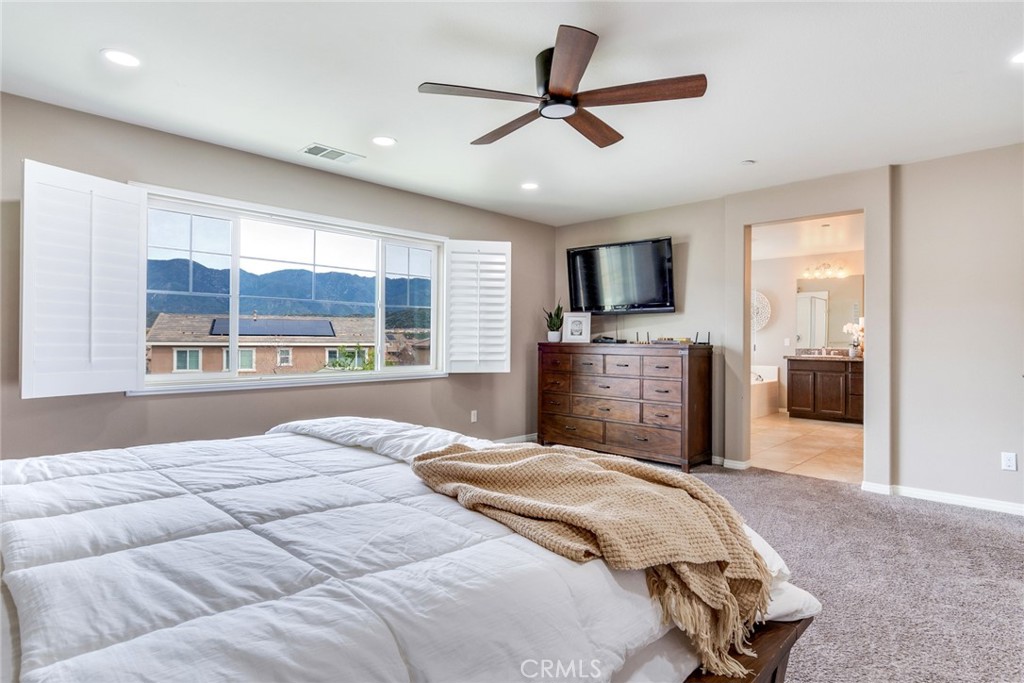 17994 Lacebark Court